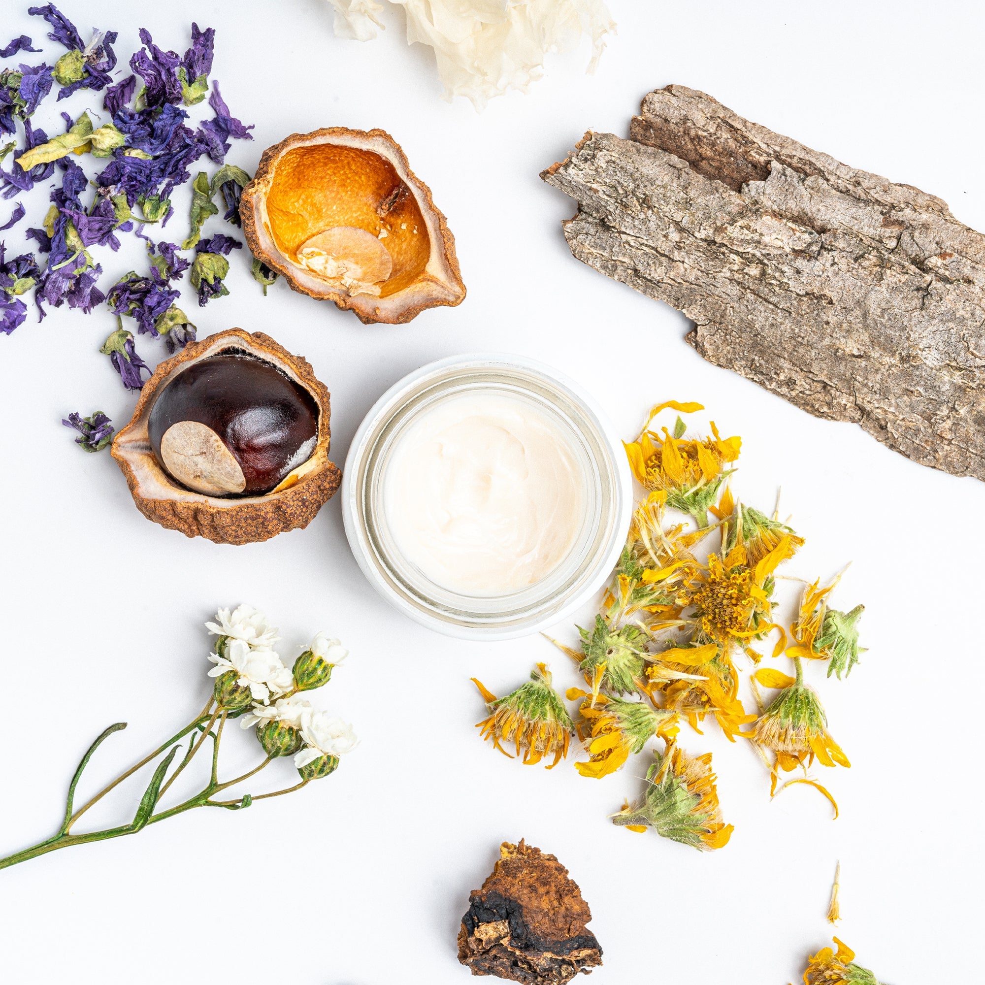 Aerial shot of an open jar of Ursa Major Forest Alchemy Eye Cream with the natural ingredients around it.  Inside the jar the eye cream is an off-white color.