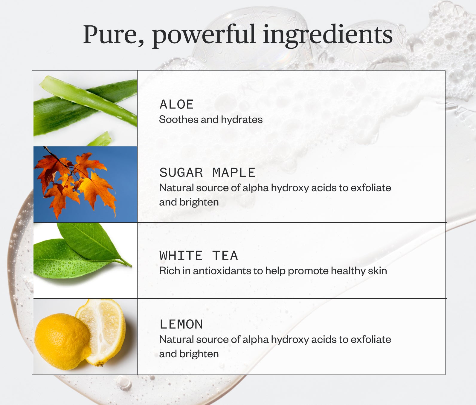 Infographic of the pure, powerful ingredients in Ursa Major Fantastic Face Wash.  Image includes Aloe which soothes and hydrates. Sugar Maple which is a natural source of alpha hydroxy acids to exfoliate and brighten. White tea which is rich in antioxidants to help promote healthy skin and lemon which is a natural source of alpha hydroxy adics to exfoliate and brighten.