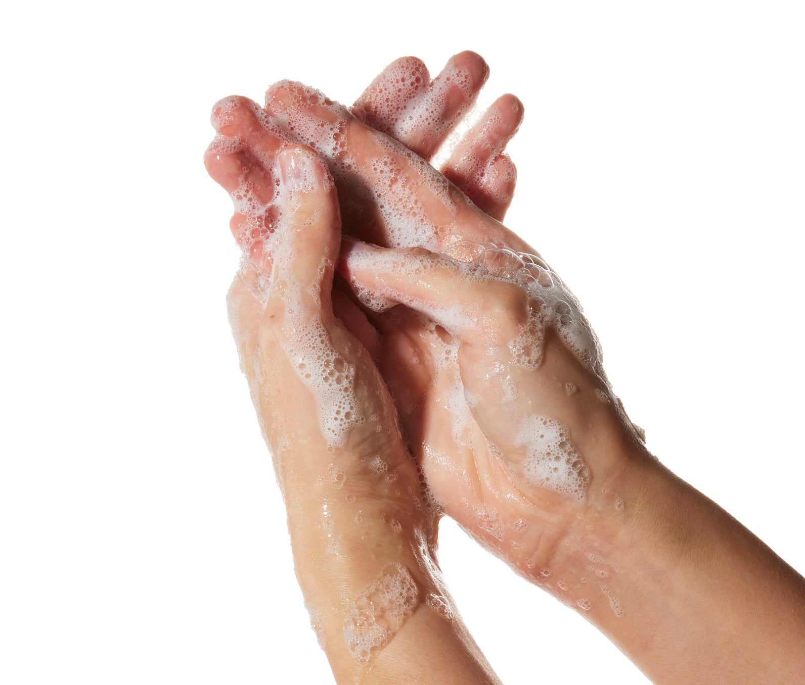 Hands with suds on them from Ursa Major Botanic Buzz Hand Wash on a white background.